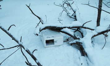 He Finds A Box Hidden In The Snow. What’s Inside Will Melt Your Heart!